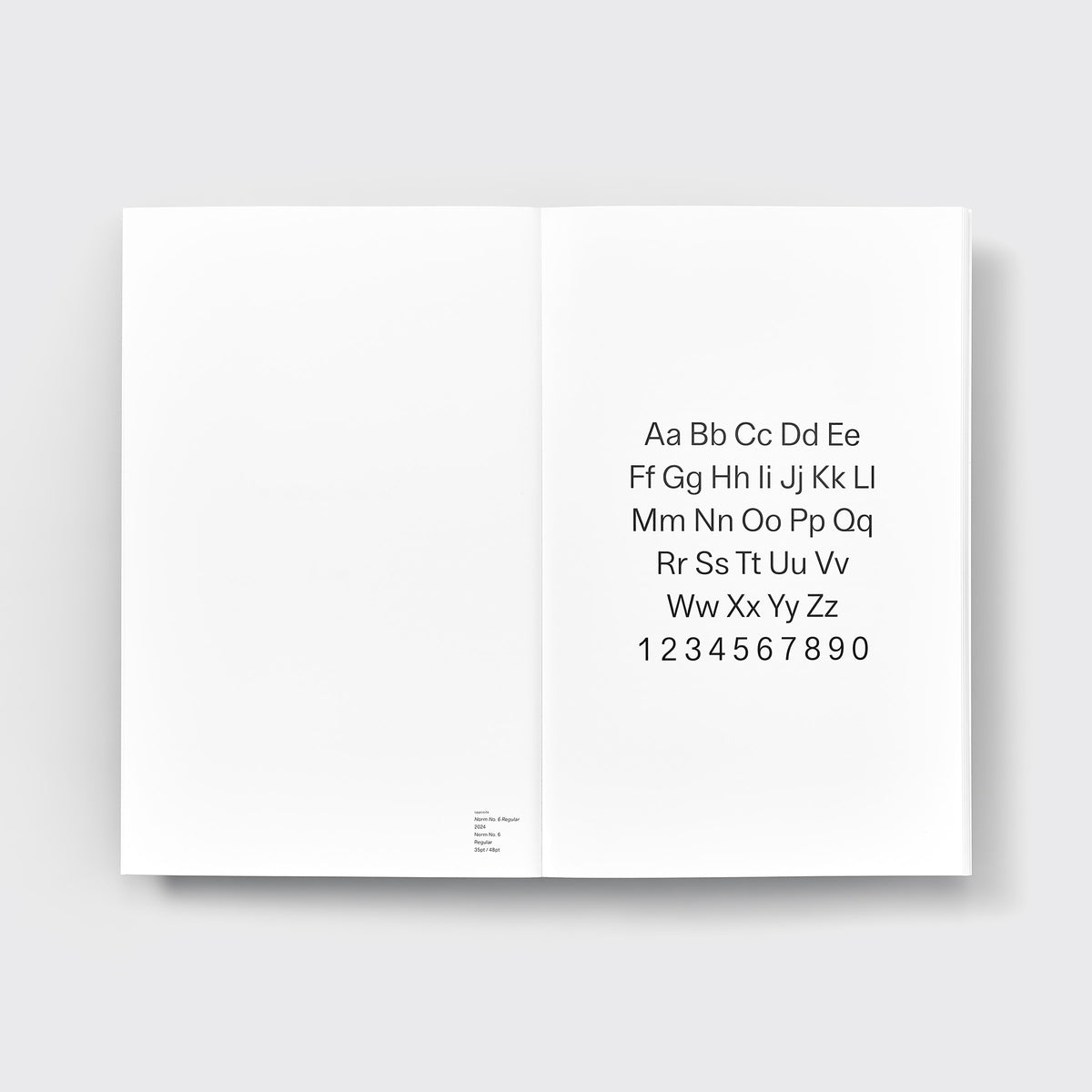 Developing Norm No. 6
