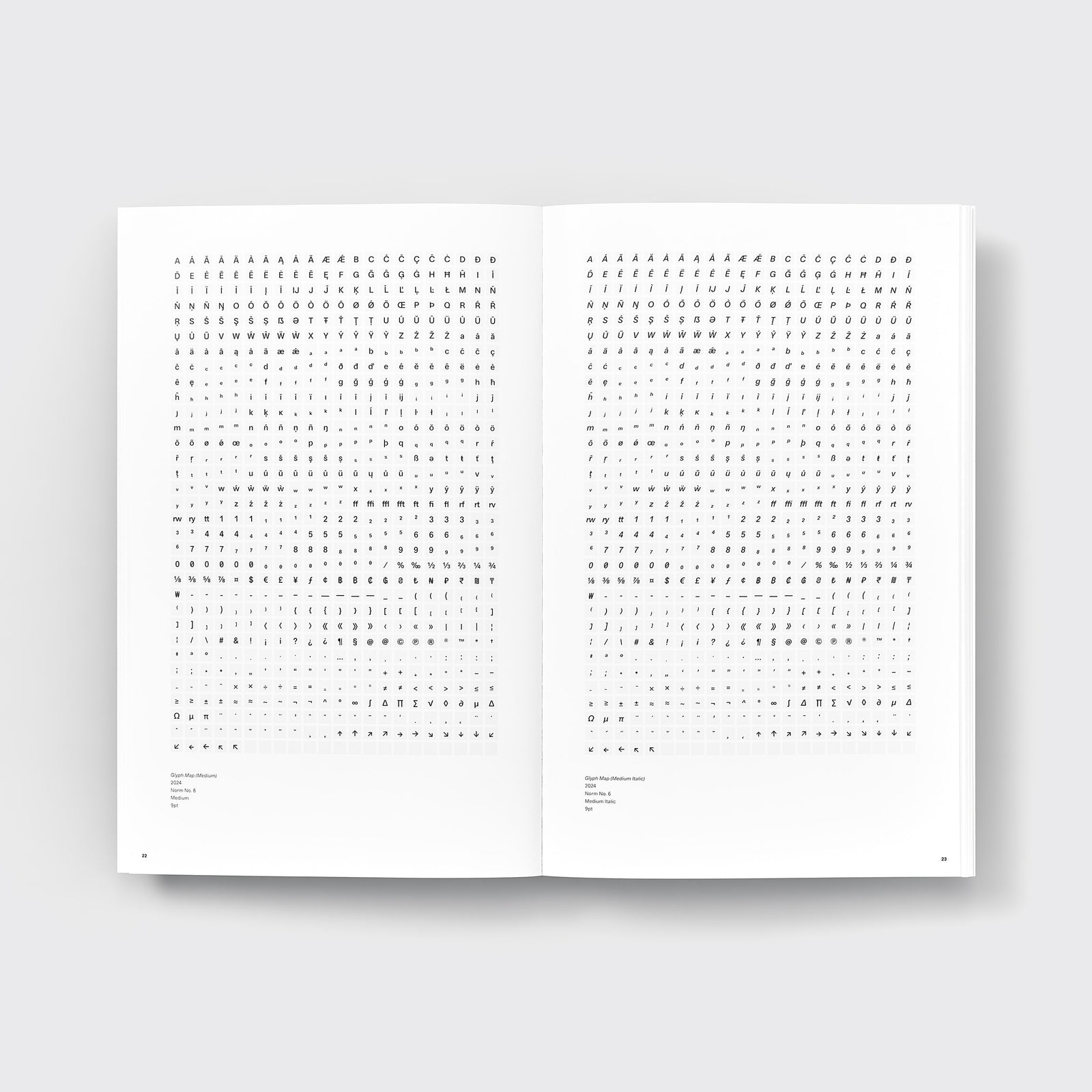 Developing Norm No. 6