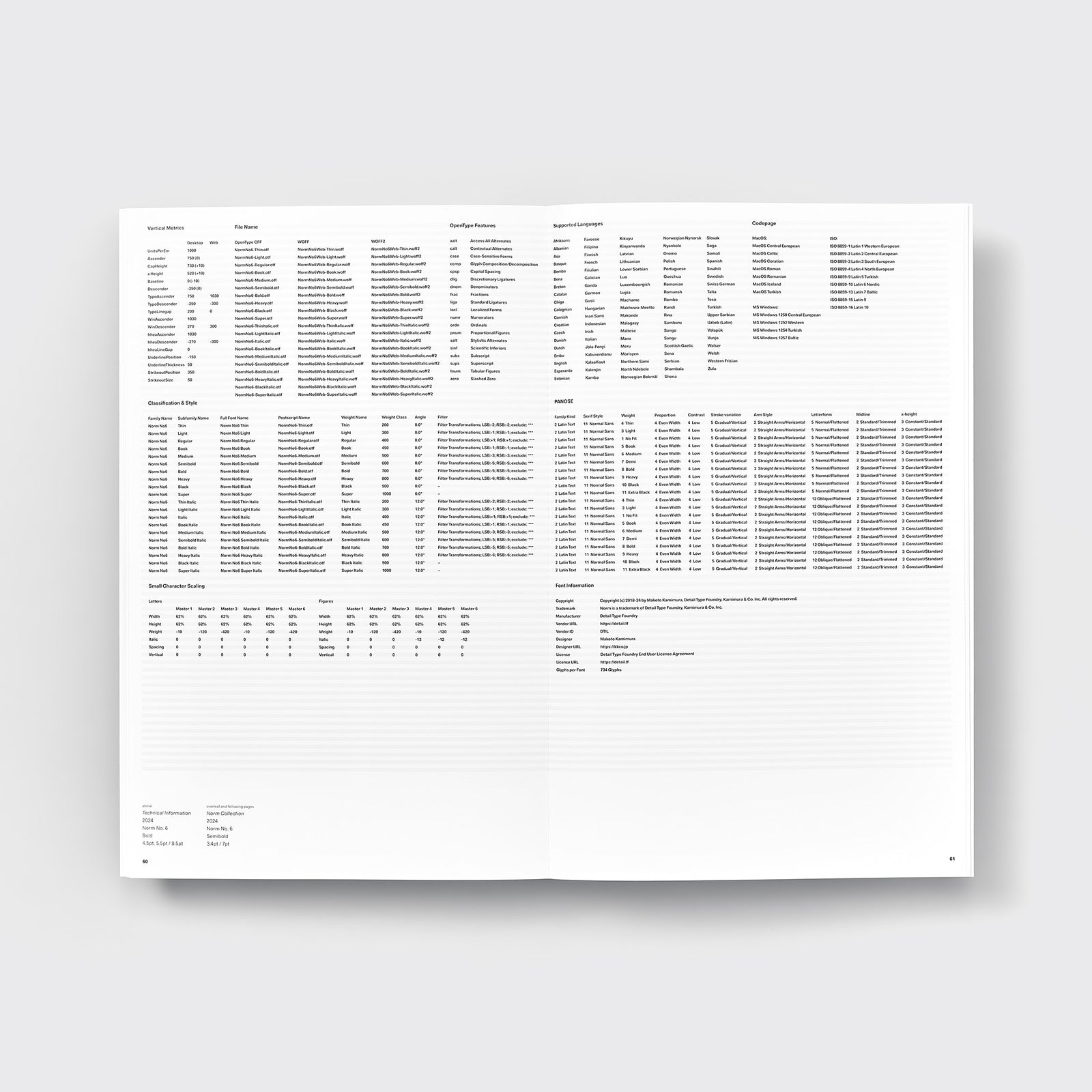 Developing Norm No. 6