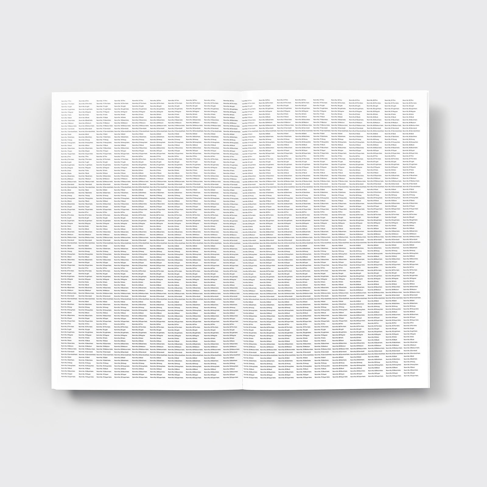 Developing Norm No. 6