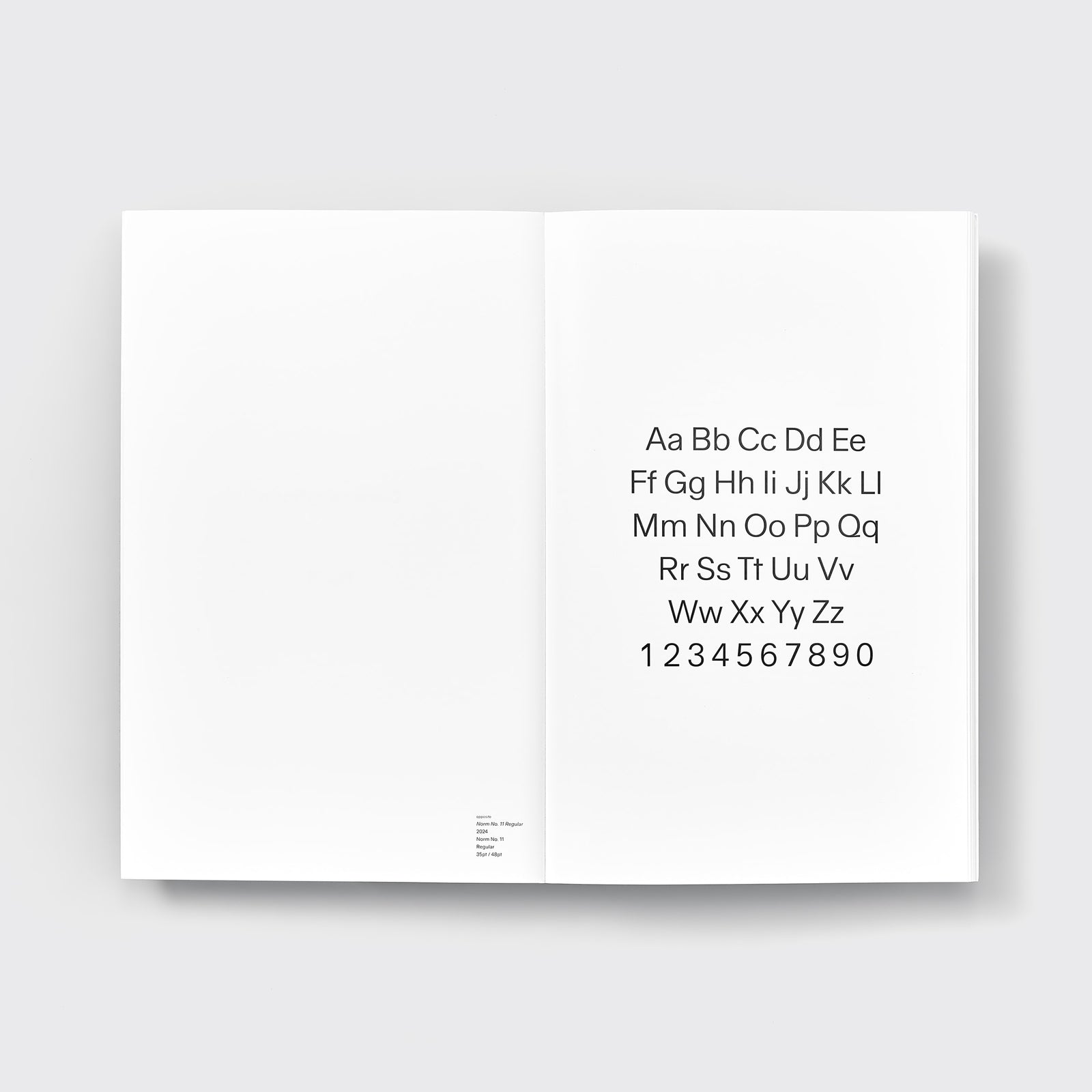 Developing Norm No. 11