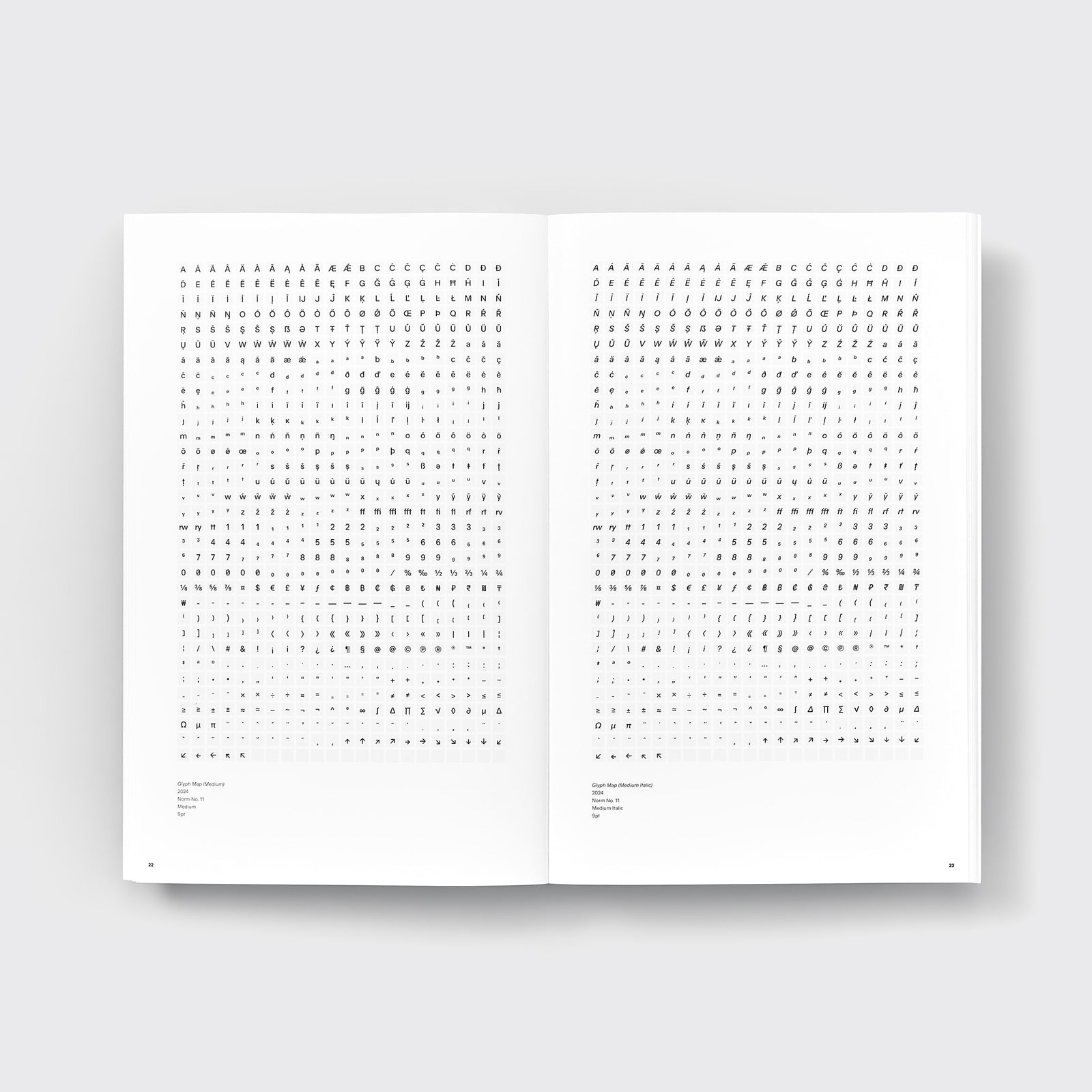 Developing Norm No. 11