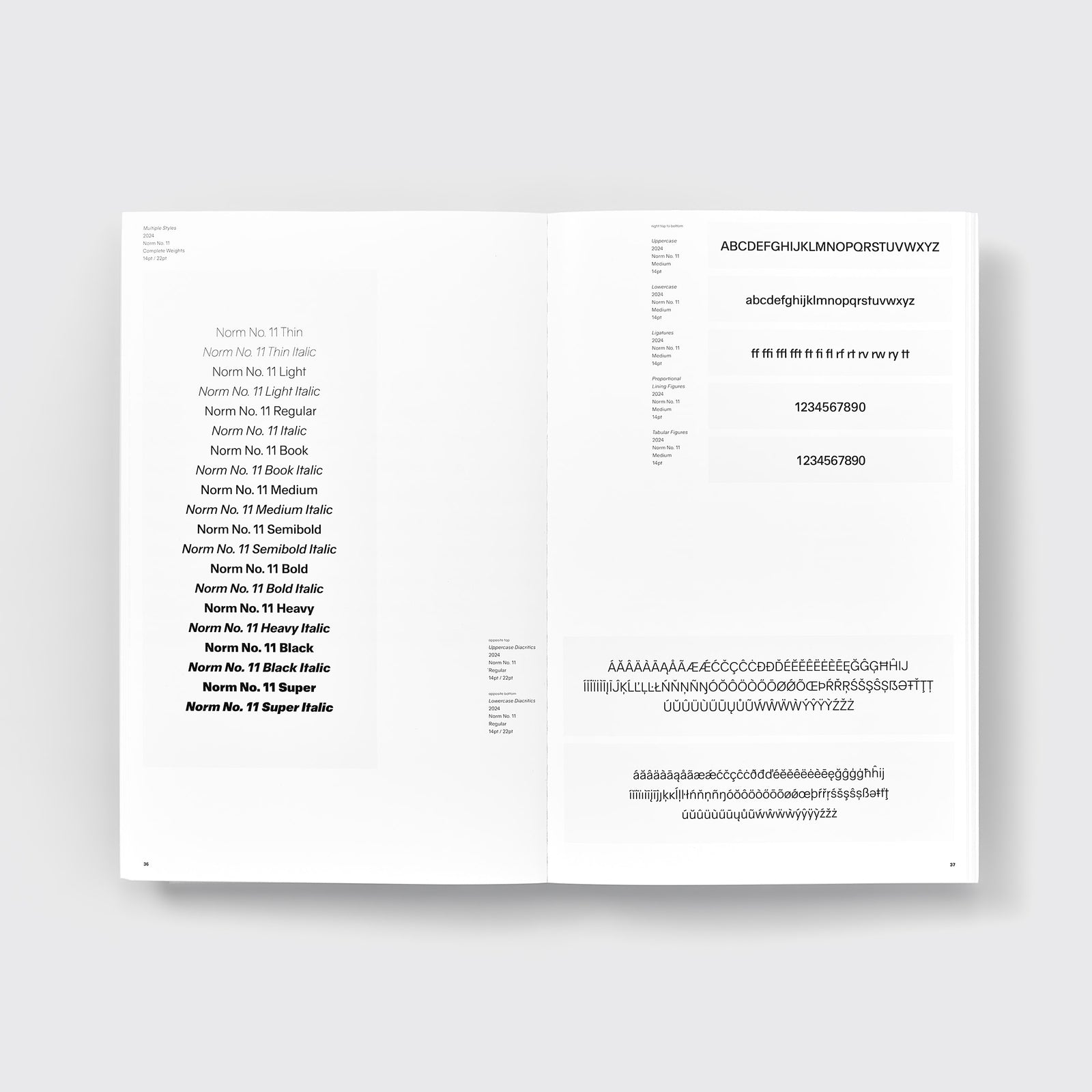 Developing Norm No. 11