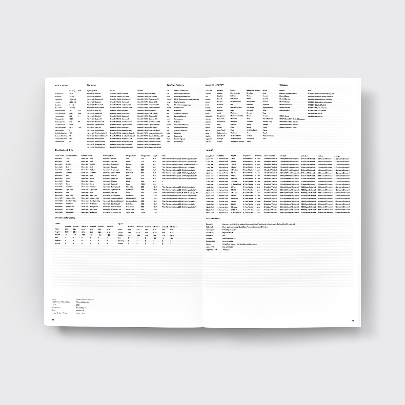 Developing Norm No. 11