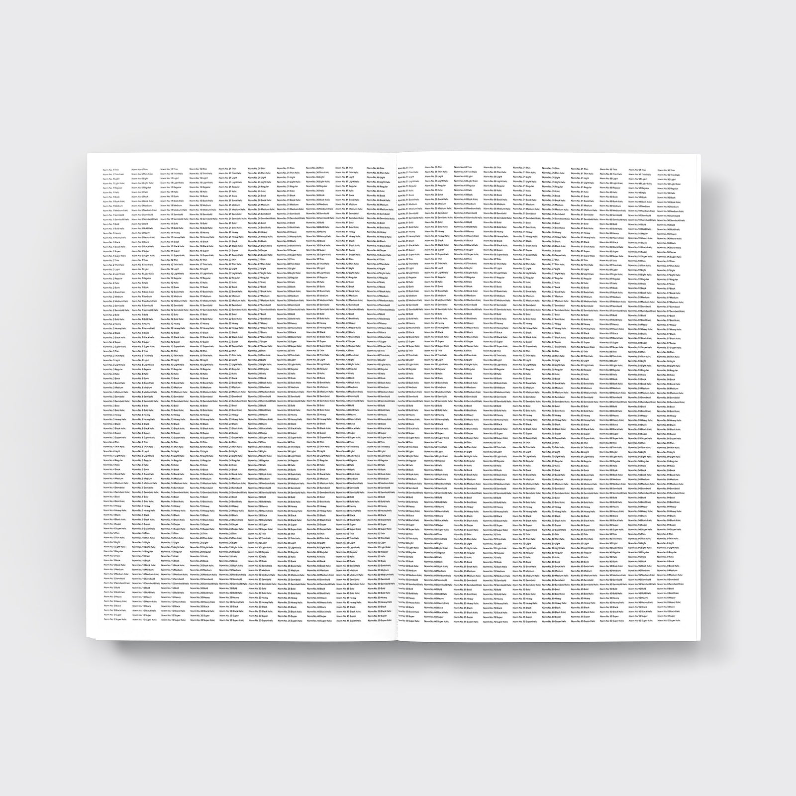 Developing Norm No. 11