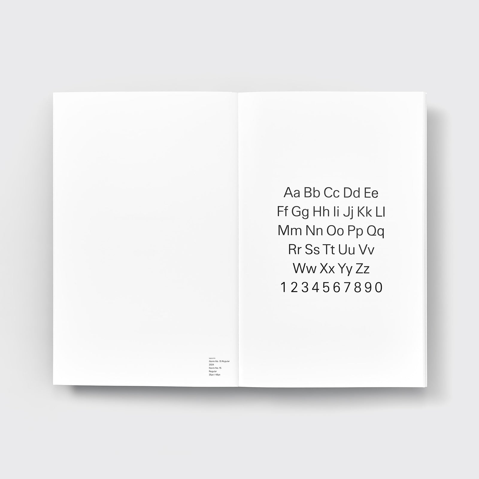 Developing Norm No. 15