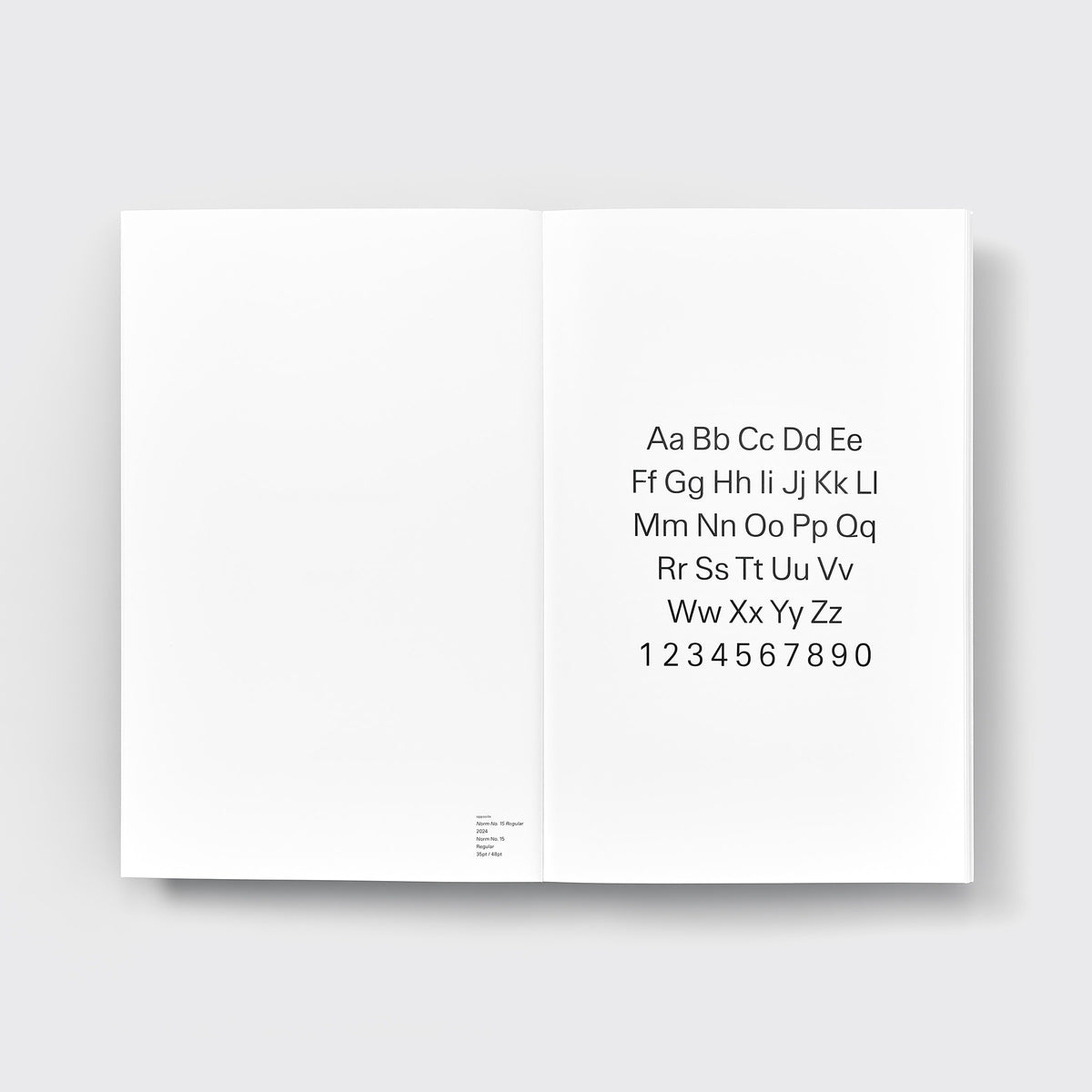 Developing Norm No. 15